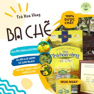 TRÀ HOA VÀNG BA CHẼ - NÂNG CAO SỨC KHOẺ