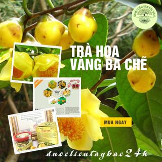 TRÀ HOA VÀNG BA CHẼ - NÂNG CAO SỨC KHOẺ