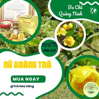 TRÀ HOA VÀNG BA CHẼ - NÂNG CAO SỨC KHOẺ