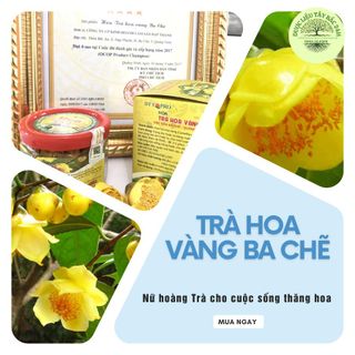 TRÀ HOA VÀNG BA CHẼ - NÂNG CAO SỨC KHOẺ