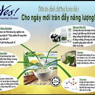 NGỦ CỐC OYES
