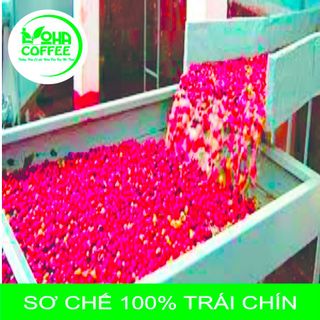 1kg Cà phê Mộc Arabica Rang ĐẬM (100% Ara) - Pha Phin/Máy - Coffee Nguyên chất rang mộc - Loha Coffee-vị chua nhẹ-hậu ngọt -huong thơm quyến rủ