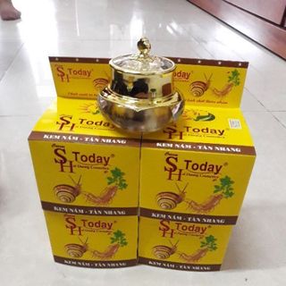 SH Today vàng kem nám tàn nhang 10 tác dụng 40g