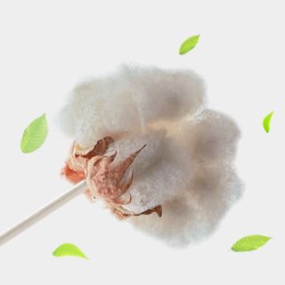 Bông ngoáy tai cho trẻ sơ sinh Misuta - Tăm bông Misuta cho trẻ sơ sinh