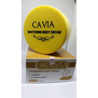 Cavia dưỡng trắng da toàn thân body cao cấp