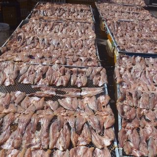 Khô cá Basa fillet còn da tẩm gia vị