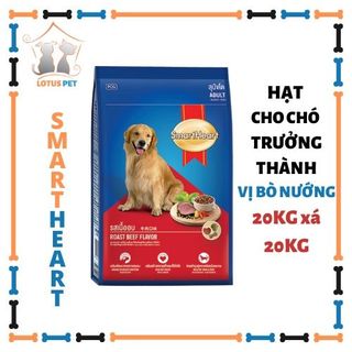 Smartheart Adult Vị bò nướng - Thức ăn hạt dành chó trưởng thành - Bao 20kg xá và bao gói 20kg giá sỉ