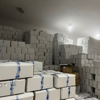 Sản Xuất Bạch Tuộc số lượng lớn (Net 70%-100%)