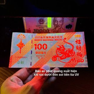 Tiền Con Mèo Macao 100 giá sỉ