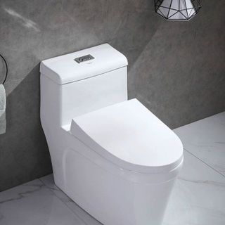 BỒN CẦU 1 KHỐI - LIỀN KHỐI BCF02