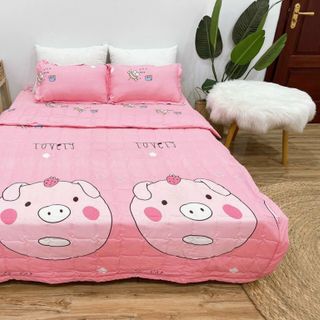Set chăn ga gối hè 5 món