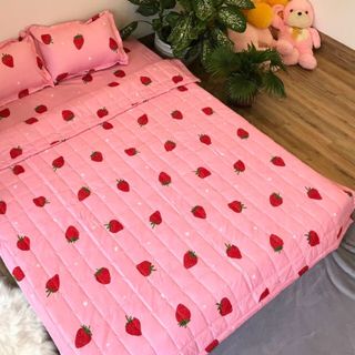 Set chăn ga gối hè 5 món
