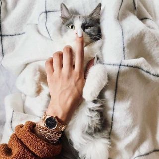 ĐỒNG HỒ DANIEL WELLlNGTON ICONIC LlNK CAO CẤP