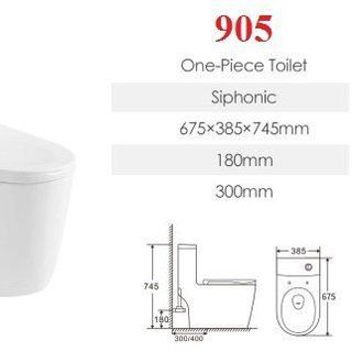 Bồn cầu 1 khối - liền khối BC905