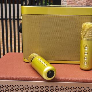 Loa bluetooth karaoke YS-219 - Tặng kèm 2 micro không dây