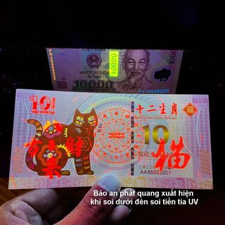 Tiền Con Mèo 10 Macao giá sỉ