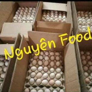 trang trại nguyên food cần tim đại lý nhà phân phối trứng gà ác trên toàn quốc