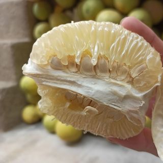 Bưởi Hòa Bình (Đỏ tân lạc, Soi Hà , Diễn)