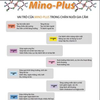Vỗ béo vật nuôi - Mino Plus 1lít Thái lan