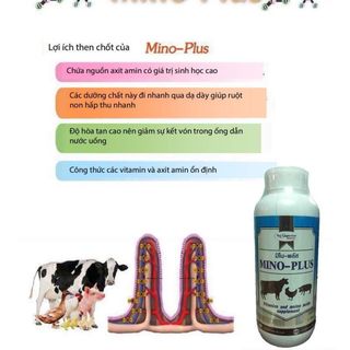 Vỗ béo vật nuôi - Mino Plus 1lít Thái lan giá sỉ