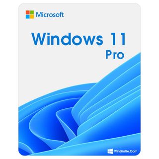 Bản quyền Microsoft Windows 11 Pro ( 1PC - Activation Online Keys)