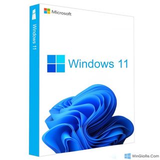 Bản quyền Microsoft Windows 11 Pro ( 1PC - Activation Online Keys)
