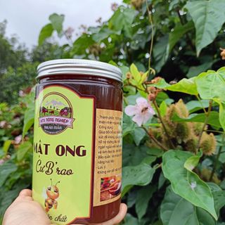 Mật ong hoa cà phê nguyên chất