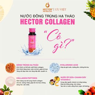 Đông Trùng Hạ Thảo Hector Collagen - Da Căng Mọng, Tươi Tắn