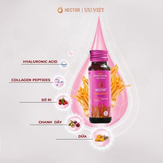 Đông Trùng Hạ Thảo Hector Collagen - Da Căng Mọng, Tươi Tắn