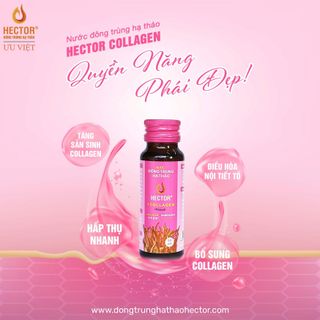 Đông Trùng Hạ Thảo Hector Collagen - Da Căng Mọng, Tươi Tắn