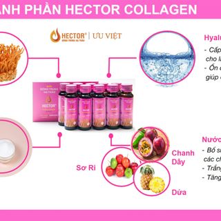 Đông Trùng Hạ Thảo Hector Collagen - Da Căng Mọng, Tươi Tắn