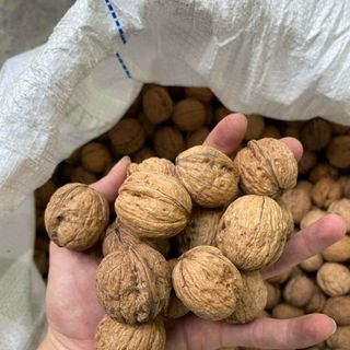 Hạt óc chó đỏ Mỹ nhập khẩu