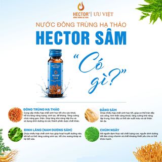 Đông Trùng Hạ Thảo Hector Sâm - Tăng Đề Kháng, Bồi Bổ Sức Khoẻ
