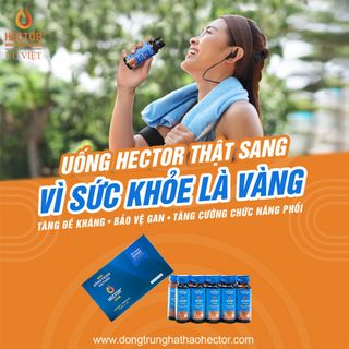 Đông Trùng Hạ Thảo Hector Sâm - Tăng Đề Kháng, Bồi Bổ Sức Khoẻ