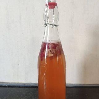 Kombucha Hoa hồng