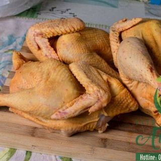 Các đặc điểm nhân biết được gà nuôi hữu cơ với gà truyền thống