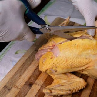 Các đặc điểm nhân biết được gà nuôi hữu cơ với gà truyền thống