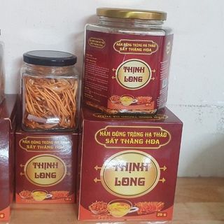 Đông Trùng Hạ Thảo  Sấy Thăng Hoa( 25g) giá sỉ