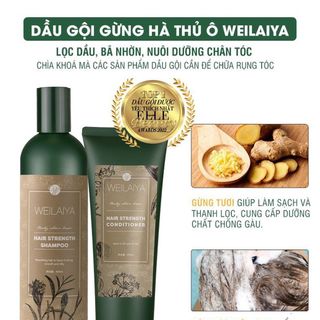 Bộ gội xả Gừng Hà thủ ô Weilaiya giảm rụng, kích mọc tóc