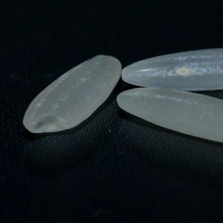 Gạo ST25 Lúa Tôm chính hãng ông Cua