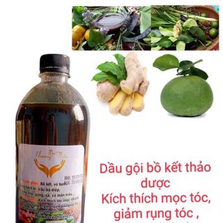 Dầu gội bồ kết kết thảo dược Hương Thảo giá sỉ