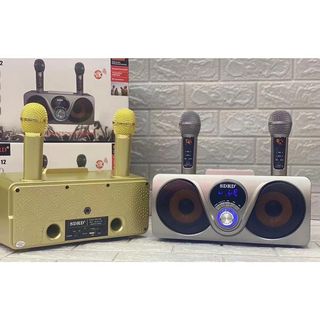Loa karaoke SD 312 SDRD