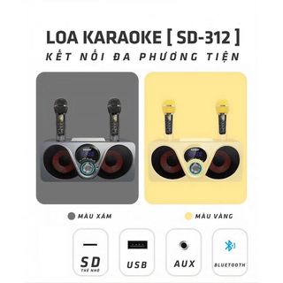 Loa karaoke SD 312 SDRD