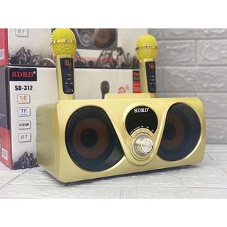 Loa karaoke SD 312 SDRD