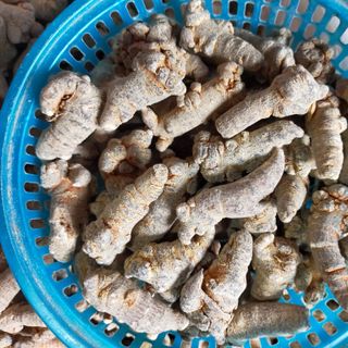 Củ tam thất 63 củ