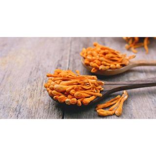 Đông Trùng Hạ thảo Sấy Thăng Hoa Cao Cấp, Hũ 100Gr