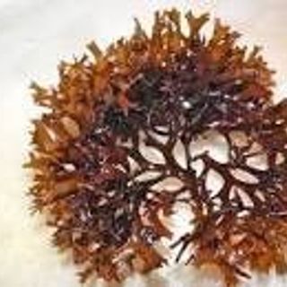 Super Fucoidan thùng 30 gói  – Phòng Và Hỗ Trợ người Ung Thư - Nhật Bản