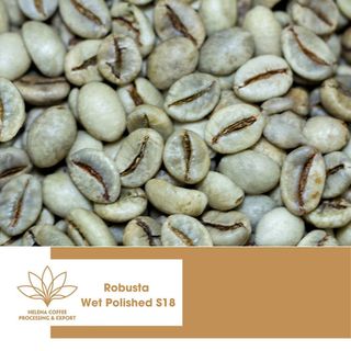 Cà phê nhân Robusta Đánh Bóng Ướt - Loại 1 sàn S16, S18 - Tiêu chuẩn xuất khẩu