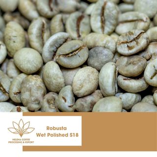 Cà phê nhân Robusta Đánh Bóng Ướt - Loại 1 sàn S16, S18 - Tiêu chuẩn xuất khẩu