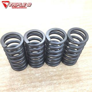 Phân Phối lo xo Nồi, Vale,: Exiter, Winner, Raider